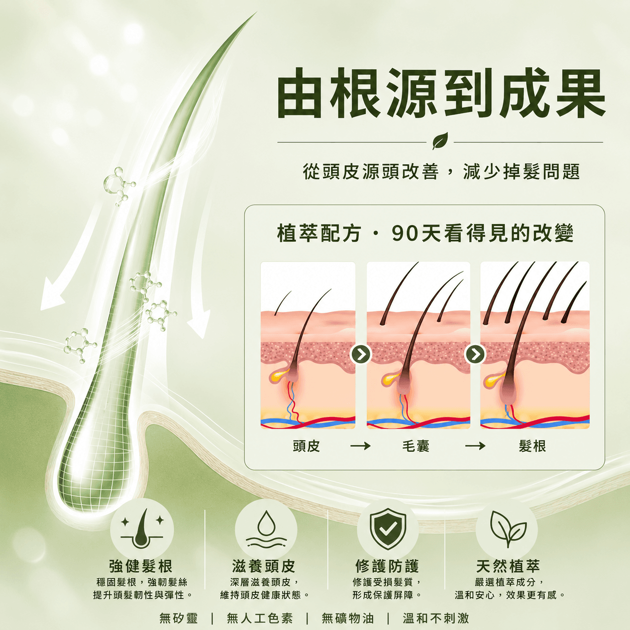 由根源到成果 植萃配方 90 天改變